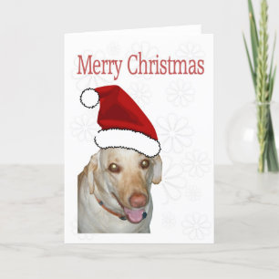 Cartes Pour Fêtes Annuelles Joyeux Noël Père Noël Labrador