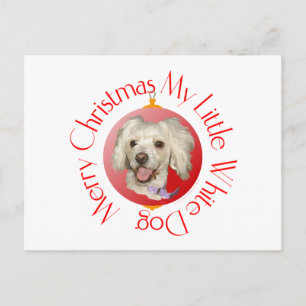 Cartes Pour Fêtes Annuelles Joyeux Noël Petit Chien Blanc Poodé / Bichon