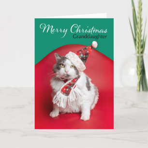 Cartes Pour Fêtes Annuelles Joyeux Noël Petite-fille Chat Mignon en Chapeau