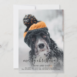 Cartes Pour Fêtes Annuelles Joyeux Noël Photo de Chien
