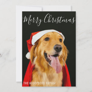 Cartes Pour Fêtes Annuelles Joyeux Noël Photo de Chien Mignon Vœux Simples