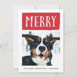 Cartes Pour Fêtes Annuelles Joyeux Noël piqué audacieux