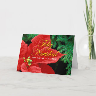 Cartes Pour Fêtes Annuelles Joyeux Noël - Poinsettia rouge et nœud de sapin