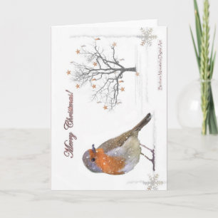Cartes Pour Fêtes Annuelles Joyeux Noël Robin