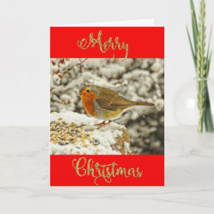 Cartes Pour Fêtes Annuelles Joyeux Noël Robin en photo de neige