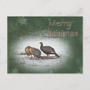 Cartes Pour Fêtes Annuelles Joyeux Noël sauvage Turquie