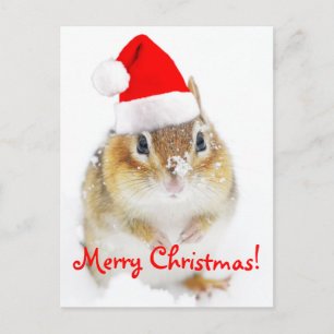 Cartes Pour Fêtes Annuelles Joyeux Noël Snowy Père Noël Chipmunk