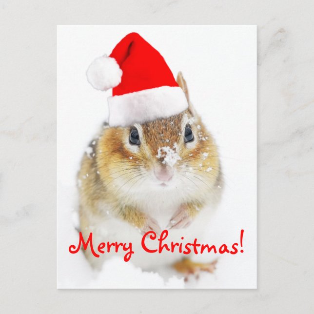 Cartes Pour Fêtes Annuelles Joyeux Noël Snowy Père Noël Chipmunk (Devant)