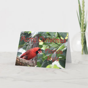 Cartes Pour Fêtes Annuelles Joyeux Noël, style Floride