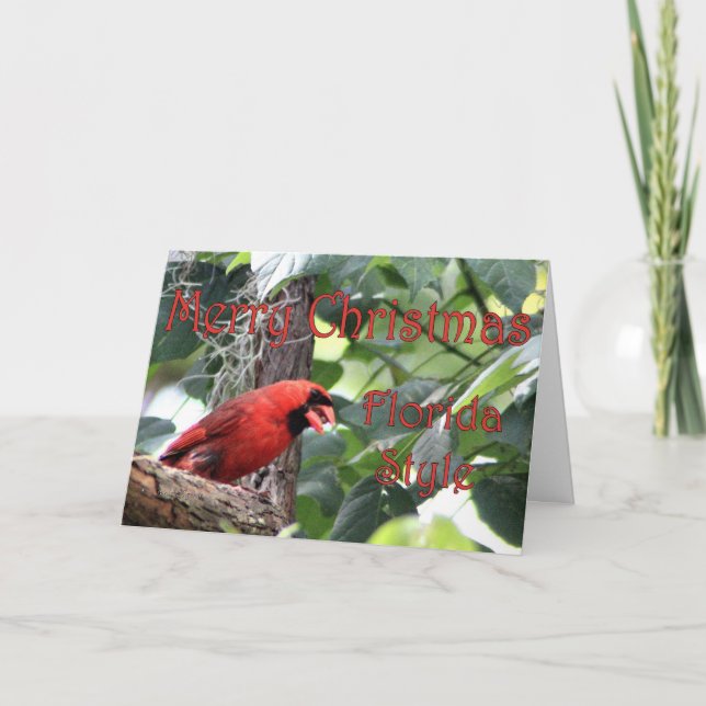 Cartes Pour Fêtes Annuelles Joyeux Noël, style Floride (Devant)