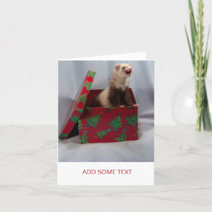 Cartes Pour Fêtes Annuelles Joyeux Noël - Surprise Ferret