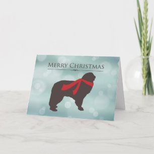 Cartes Pour Fêtes Annuelles Joyeux Noël, Terre-Neuve dans l'écharpe rouge,