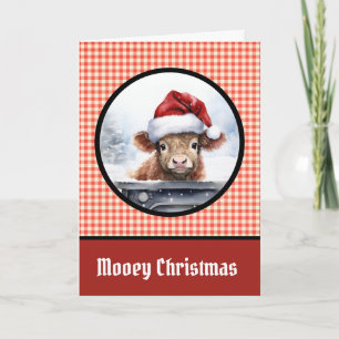 Cartes Pour Fêtes Annuelles Joyeux Noël Vache Highland Rouge Drôle