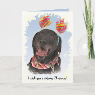 Cartes Pour Fêtes Annuelles Joyeux Noir Labrador Retriever Chien Noël