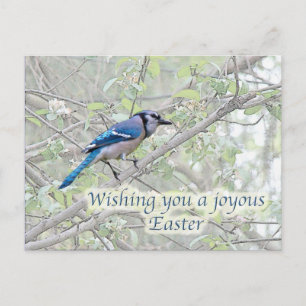 Cartes Pour Fêtes Annuelles Joyeux oiseau-chanteur bleu pâle de Pâques