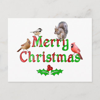 Cartes Pour Fêtes Annuelles Joyeux Oiseaux de Noël et écureuil