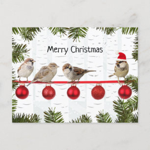 Cartes Pour Fêtes Annuelles Joyeux Oiseaux de Noël sur un membre