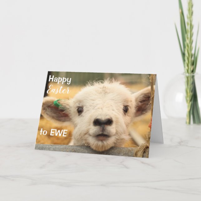 Cartes Pour Fêtes Annuelles Joyeux Pâques à EWE. (Devant)