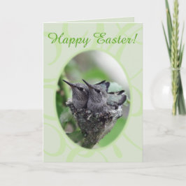 Cartes Pour Fêtes Annuelles Joyeux Pâques | Colibris en photo de nid |