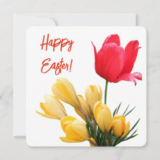 Cartes Pour Fêtes Annuelles Joyeux Pâques joli crocus rouge tulip amour