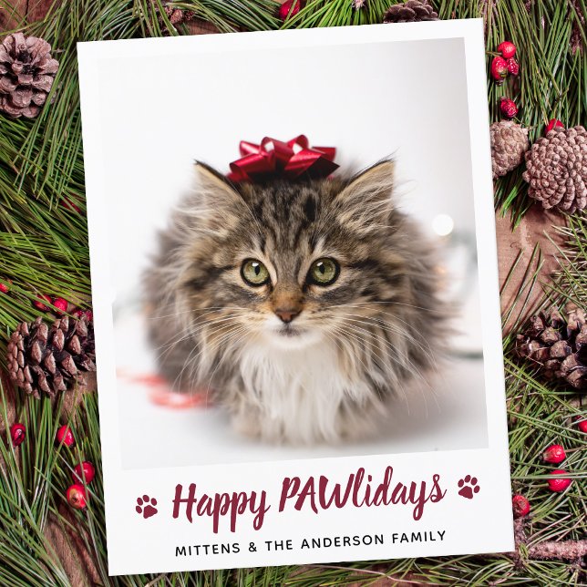 Cartes Pour Fêtes Annuelles Joyeux PAWlidays Amoureux des chats Pet Photo Noël (Créateur téléchargé)