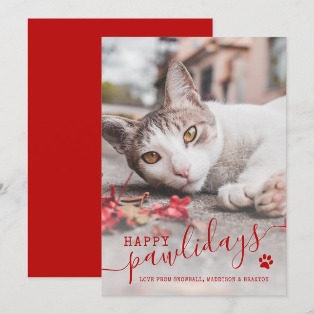 Cartes Pour Fêtes Annuelles Joyeux Pawlidays Chat Photo Animal de compagnie Re (Devant / Derrière)