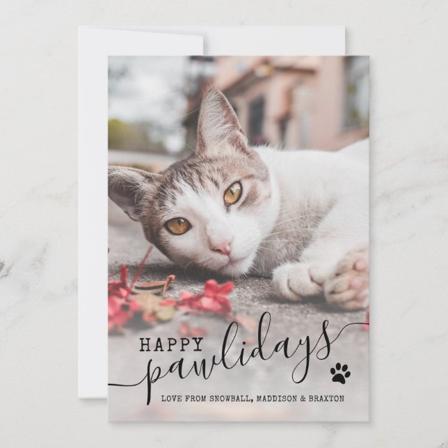 Cartes Pour Fêtes Annuelles Joyeux Pawlidays Chat Photo moderne Pet Christmas  (Devant)