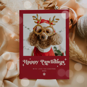 Cartes Pour Fêtes Annuelles Joyeux Pawlidays Chien Photo Drôle Noël
