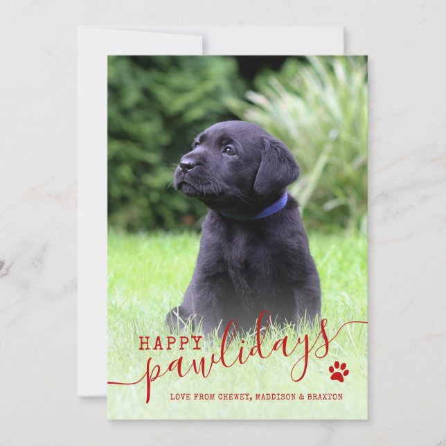 Cartes Pour Fêtes Annuelles Joyeux Pawlidays Photo de chien moderne Noël anima (Devant)