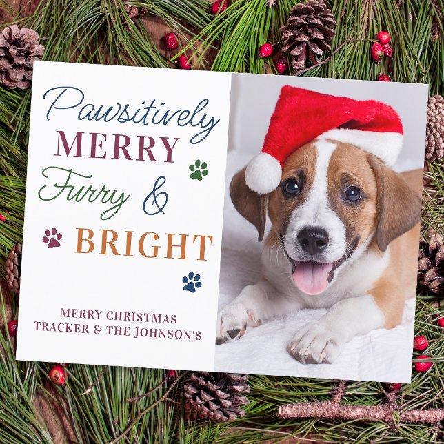 Cartes Pour Fêtes Annuelles Joyeux Pawsitly Custom Pet Photo Furieux & brillan (Créateur téléchargé)