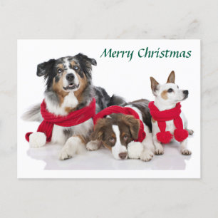 Cartes Pour Fêtes Annuelles Joyeux petits de Noël