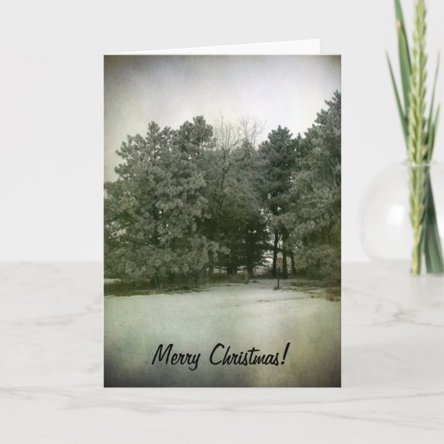Cartes Pour Fêtes Annuelles Joyeux pins de Noël dans le parc (Devant)