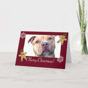 Cartes Pour Fêtes Annuelles Joyeux Pitbull Dog de Noël