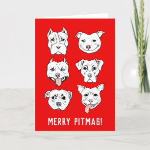 Cartes Pour Fêtes Annuelles Joyeux Pitmas Pit Bull Dog fait face à Noël