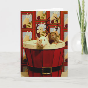 Cartes Pour Fêtes Annuelles Joyeux Ratty-mas !