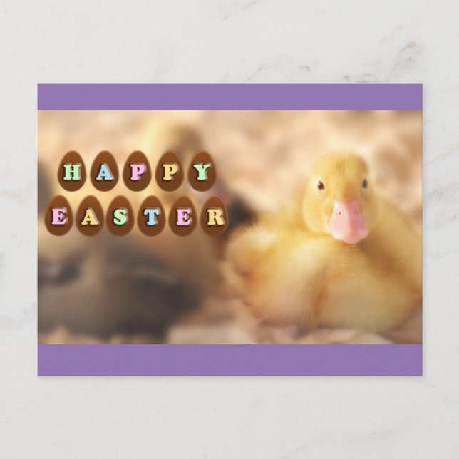 Cartes Pour Fêtes Annuelles Joyeux salutations de Pâques de mignons canards (Devant)