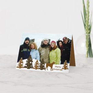 Cartes Pour Fêtes Annuelles Joyeux Sapins de Noël & Lévrier Gris