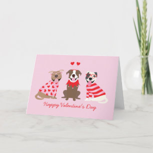 Cartes Pour Fêtes Annuelles Joyeux Valentines Day American Pit Bull Terriers