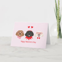 Joyeux Valentines Day Chiens de Maltipoo