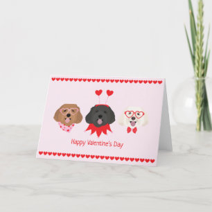 Cartes Pour Fêtes Annuelles Joyeux Valentines Day Chiens de Maltipoo