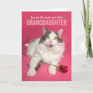 Cartes Pour Fêtes Annuelles Joyeux Valentines Day Petite-fille Chat mignon