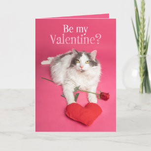 Cartes Pour Fêtes Annuelles Joyeux Valentines Jour Cute Chat Avec Coeur
