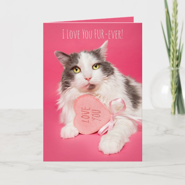 Cartes Pour Fêtes Annuelles Joyeux Valentines Jour Je T'Aime FurEver Chat (Devant)