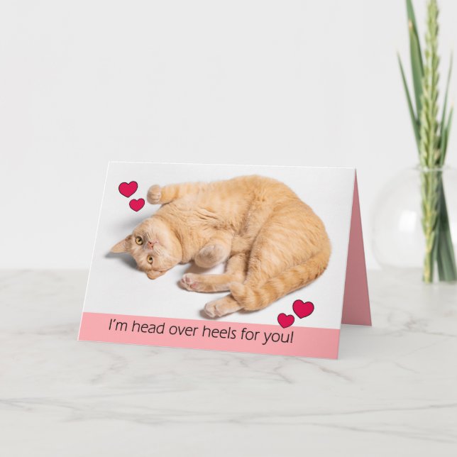 Cartes Pour Fêtes Annuelles Joyeux Valentines Jour Orange Tabby Cat (Devant)