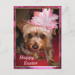 Cartes Pour Fêtes Annuelles Joyeux Yorkie de Pâques