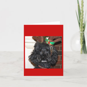 Cartes Pour Fêtes Annuelles Jules Yule.