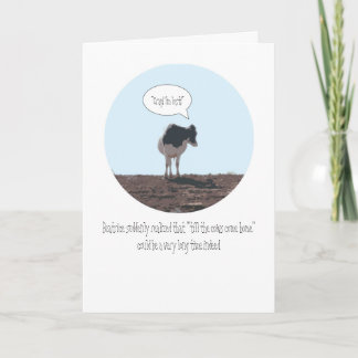 Cartes Pour Fêtes Annuelles "Jusqu'à ce que les vaches rentrent chez elles Car