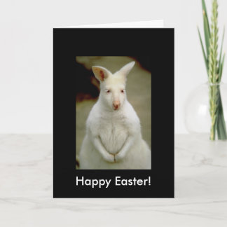 Cartes Pour Fêtes Annuelles Kangourou blanc mignon adorable albinos