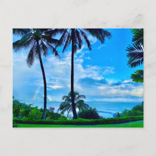 Cartes Pour Fêtes Annuelles Kauai Salutations