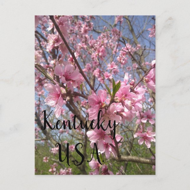 Cartes Pour Fêtes Annuelles Kentucky USA (Devant)